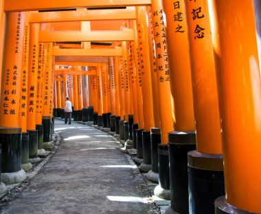 Fushimi Inari Tapınağı 'ndaki Torii kapıları, Kyoto, Japonya