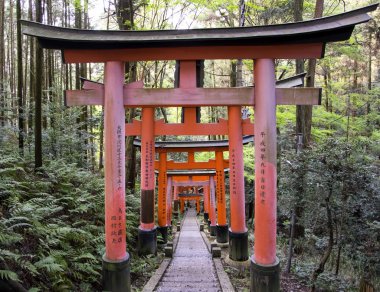  Fushimi Inari Tapınağı 'ndaki Torii kapıları, Kyoto, Japonya