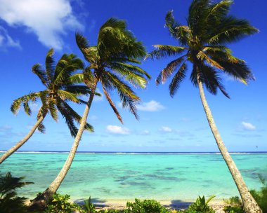 Muri lagün, Rarotonga, Cook Adaları, tropik su üzerinde palmiye ağaçları ile plaj