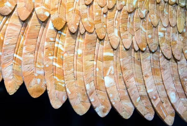 Oyma kuş tüyleri ayrıntılarını.