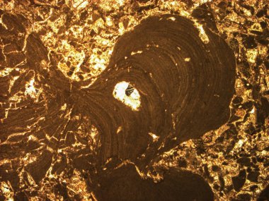  Mikro-çapraz polarize ışık altında jeolojik ince parça fotoğrafı. 