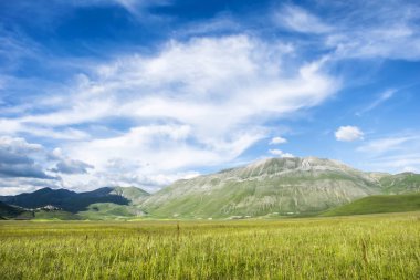 Castelluccio di Norcia, Umbria, İtalya. Pian Grande kırsal manzara yaz sezonu boyunca
