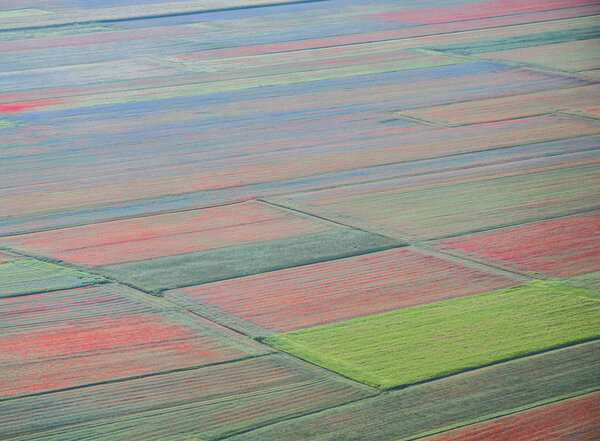  Beautiful countryside scene, abstract bloom. 