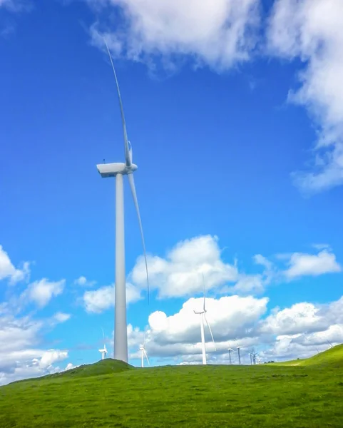 Green meadow with wind turbines generating electricity — Stock Photo, Image