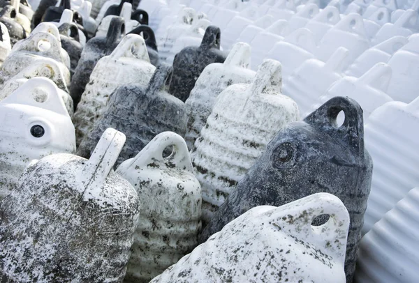 Marine themes, white buoys on the shore in the winter. — Stock Photo, Image
