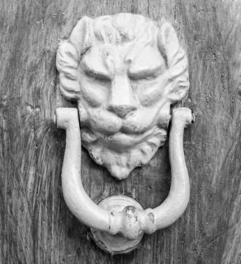  Aslan baş tokmağı 