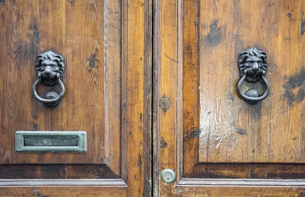 Lion head knockers on an old wooden door in Florence,Tuscany, Italy.