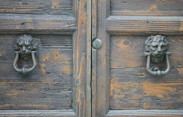 Frappeurs de tête de lion sur une vieille porte en bois — Photo