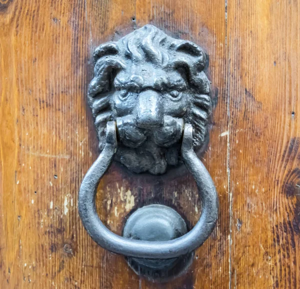 Golpeador de cabeza de león en una vieja puerta de madera — Foto de Stock