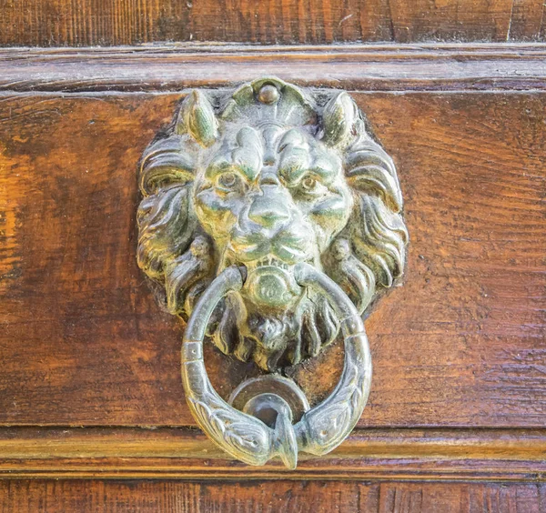 Golpeador de cabeza de león dorado en una vieja puerta de madera — Foto de Stock