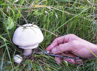 Malzeme çekme mantar bıçakla.