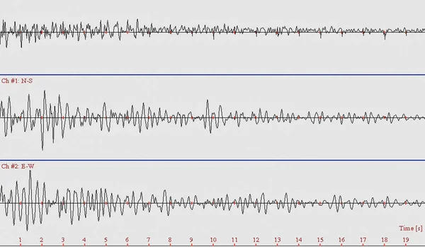 Σύνολο των σεισμικών κυμάτων ταλάντωσης σεισμό κυματομορφή. — Φωτογραφία Αρχείου
