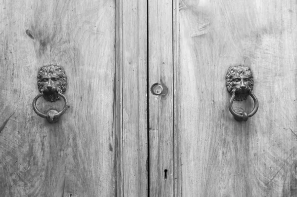 León golpeadores de cabeza en una vieja puerta de madera en Toscana . — Foto de Stock