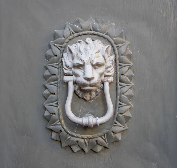 Golpeador de cabeza de león en una vieja puerta de madera. — Foto de Stock