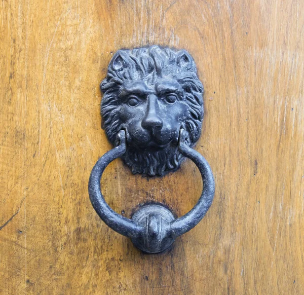 Batedor de cabeça de leão em uma velha porta de madeira. — Fotografia de Stock