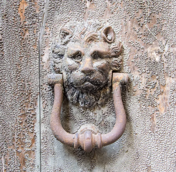 Golpeador de cabeza de león en una vieja puerta de madera. — Foto de Stock