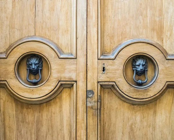 Löwenkopf klopft an alte Holztür. — Stockfoto