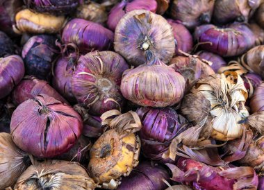 Çiçek soğanı görünümünü bir piyasada yakından.