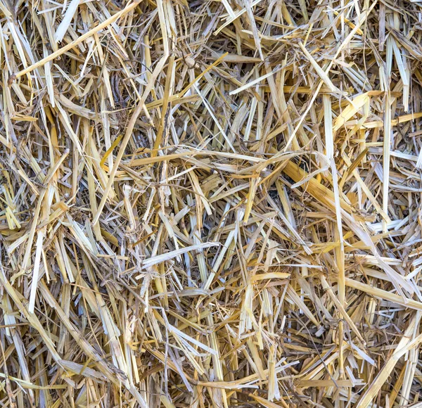 Close up of straw background texture — Stock Photo, Image