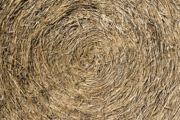 Close up of straw background texture. — Stock Photo, Image