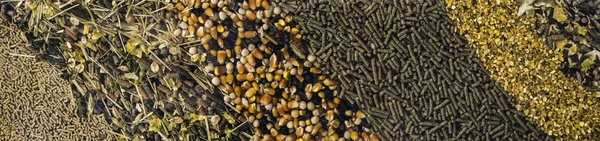 Different types of animal feed for background — Stock Photo, Image