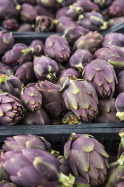 Yeşil ve mor İtalyan enginar Çiftçi Market.