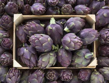  Gıda arka plan. Yeşil ve mor İtalyan enginar