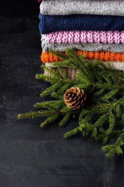 Renkli parlak sıcak kazak ve Ladin Çam kozalağı, kış sabah kavramı, yeni yıl Şubesi