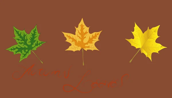 Üç akçaağaç yaprağı