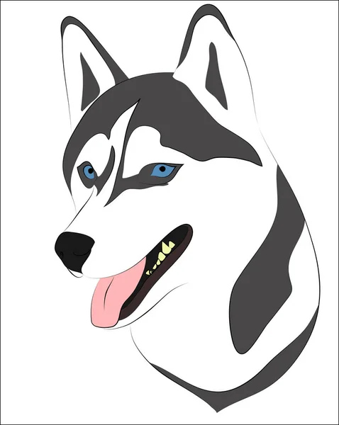 Husky köpek vektör sanat