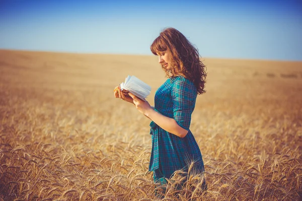 Niña con un libro en un campo de trigo durante —  Fotos de Stock