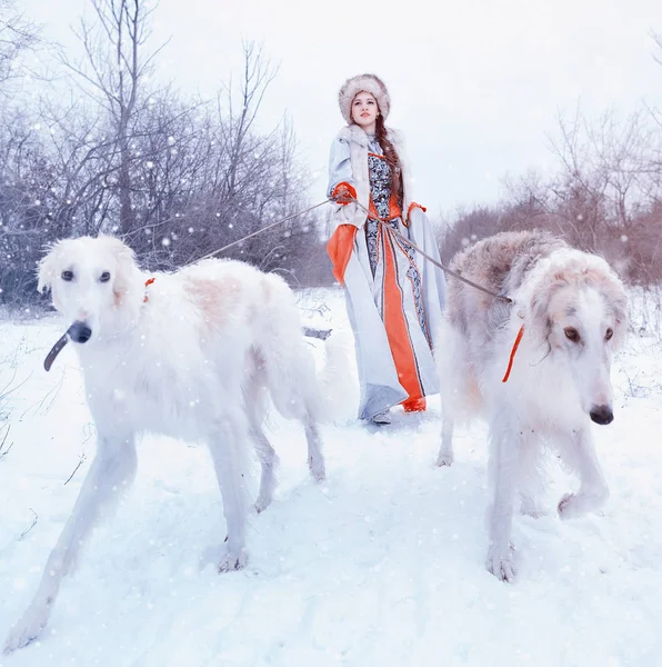 Menina com um Greyhound no inverno — Fotografia de Stock