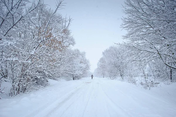 Droga w śniegu — Zdjęcie stockowe