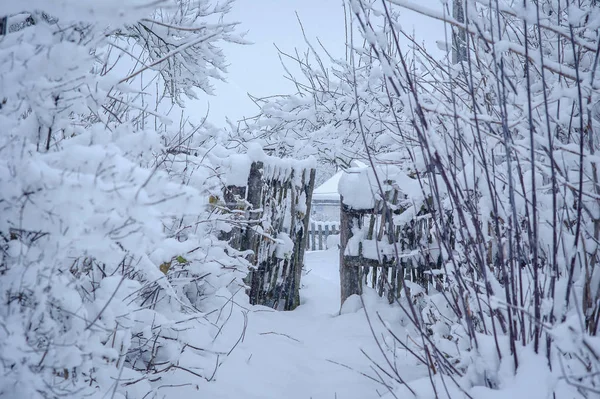 Wioska w śniegu — Zdjęcie stockowe