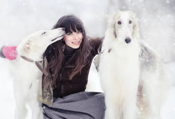 Chica con dos galgos en el invierno —  Fotos de Stock