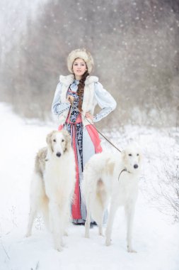 iki köpek içinde belgili tanımlık kış yürüyüş ile kız