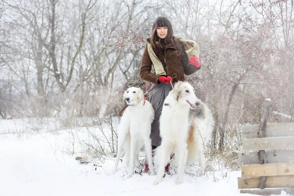 Chica con dos galgos en el invierno, cayendo nieve — Foto de Stock