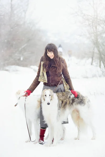 Chica con dos galgos en el invierno, cayendo nieve — Foto de Stock