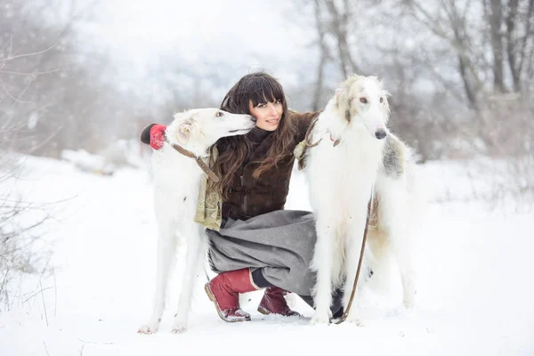 Chica con dos galgos en el invierno, cayendo nieve —  Fotos de Stock