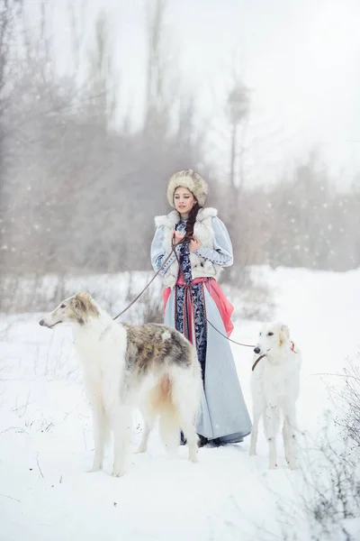 Chica con dos galgos caminando en el invierno —  Fotos de Stock