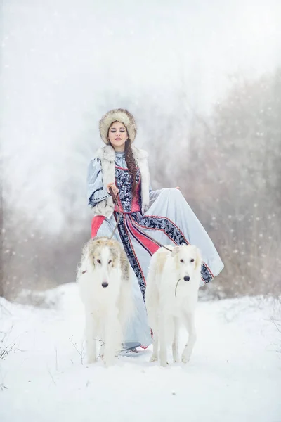 Menina com dois galgos andando no inverno — Fotografia de Stock
