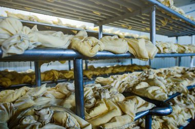 süt fabrikası peynir