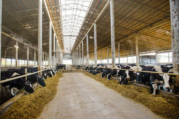 Celeiro de fazenda moderna — Fotografia de Stock