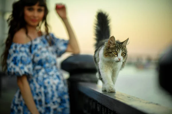 Kentin gün batımında güzel bir hamile kadın — Stok fotoğraf