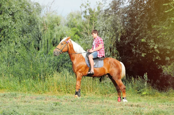 Jovem em forma homem em um cavalo — Fotografia de Stock