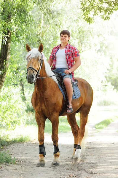 at üstündeki şekil adam genç