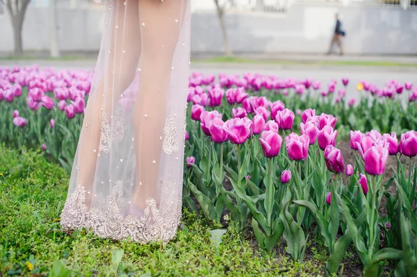 Kvinnans ben i ett fält med tulpaner — Stockfoto