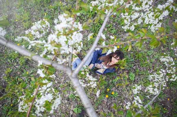 Mujer en un jardín de cerezos —  Fotos de Stock