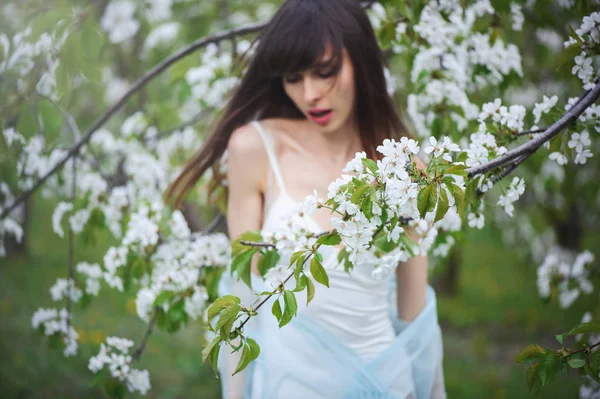 Femme dans un jardin de cerises — Photo