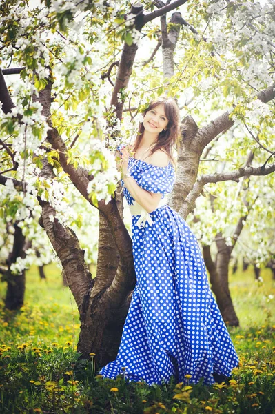 Hermosa mujer en un huerto de cerezos — Foto de Stock